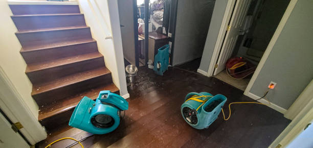 Best Mold removal after water damage  in Utica, IN