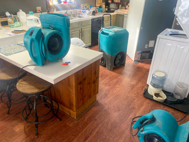 Best Commercial water damage restoration  in Utica, IN