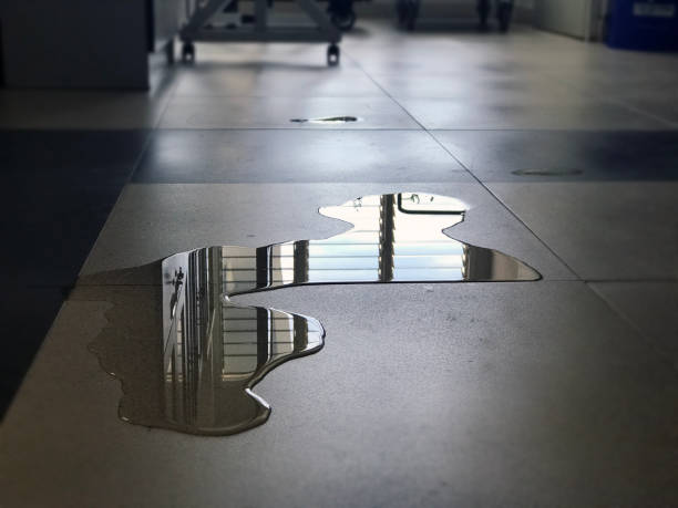 Best 24-hour water damage restoration  in Utica, IN